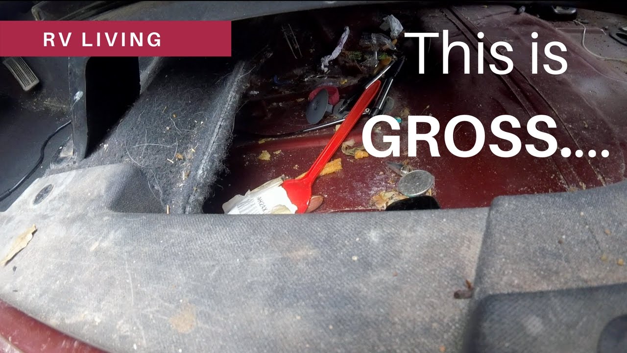 RV Living | Removing the Carpet in a Jeep Wrangler