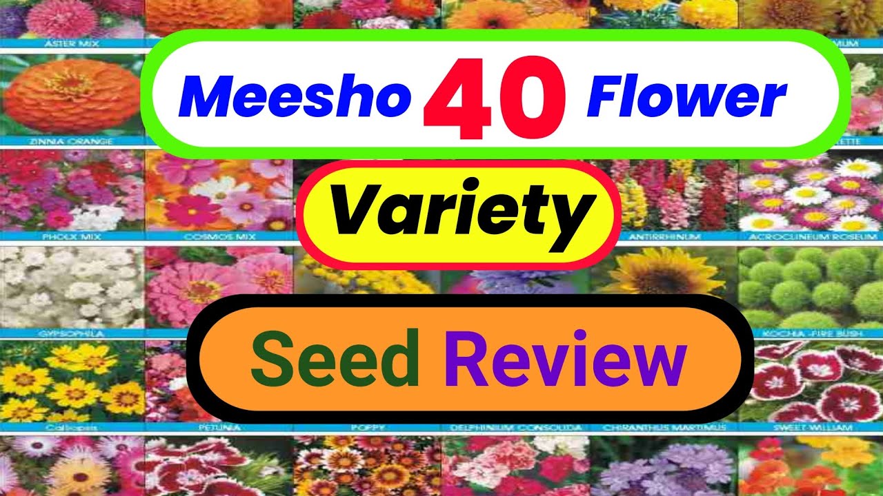 Meesho 40 Flower Variety Seed Review | Winter Seed Review