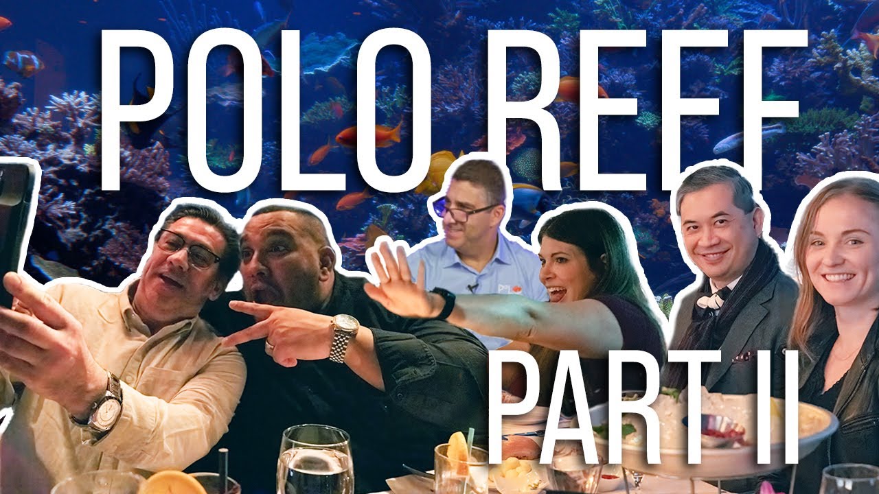 Andrew Sandler and Polo Reef - Second visit!