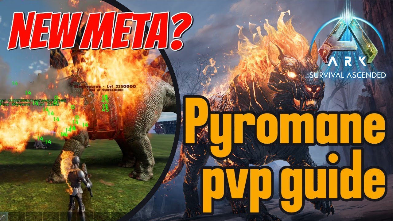 Pyromane PVP Tested | Pyromane Dino Guide | Ark Survival Ascended