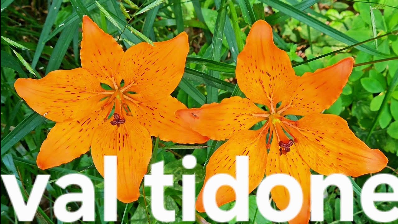 I segreti nascosti della val tidone