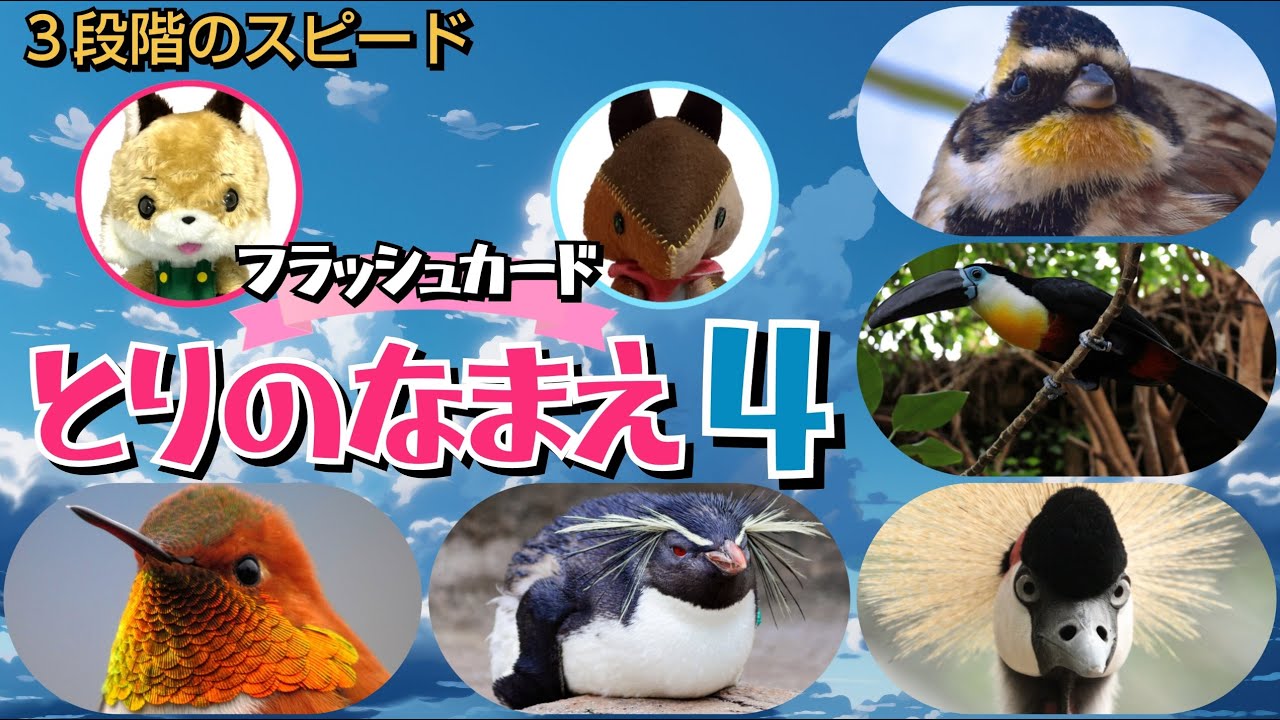 【フラッシュカード】くり返しておぼえる♪ひらがなで「とりの なまえ４」