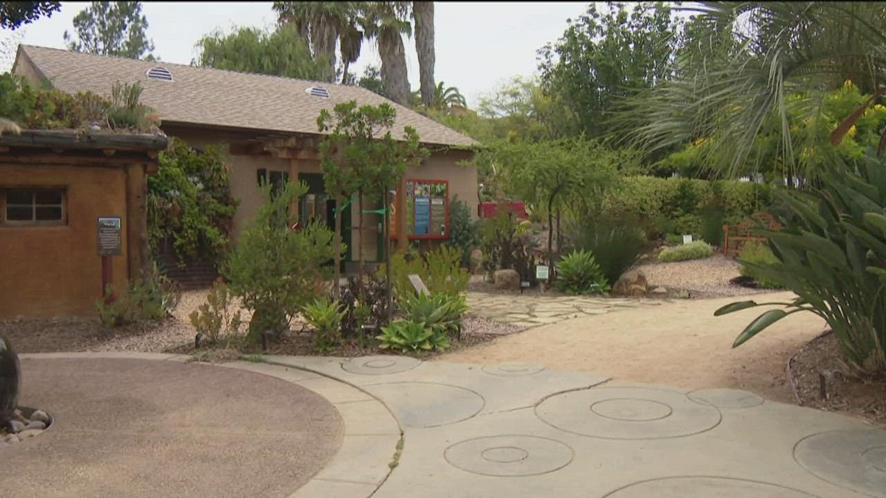 Ready to get your hands dirty? Here are sustainable gardening tips to get you through drought condit