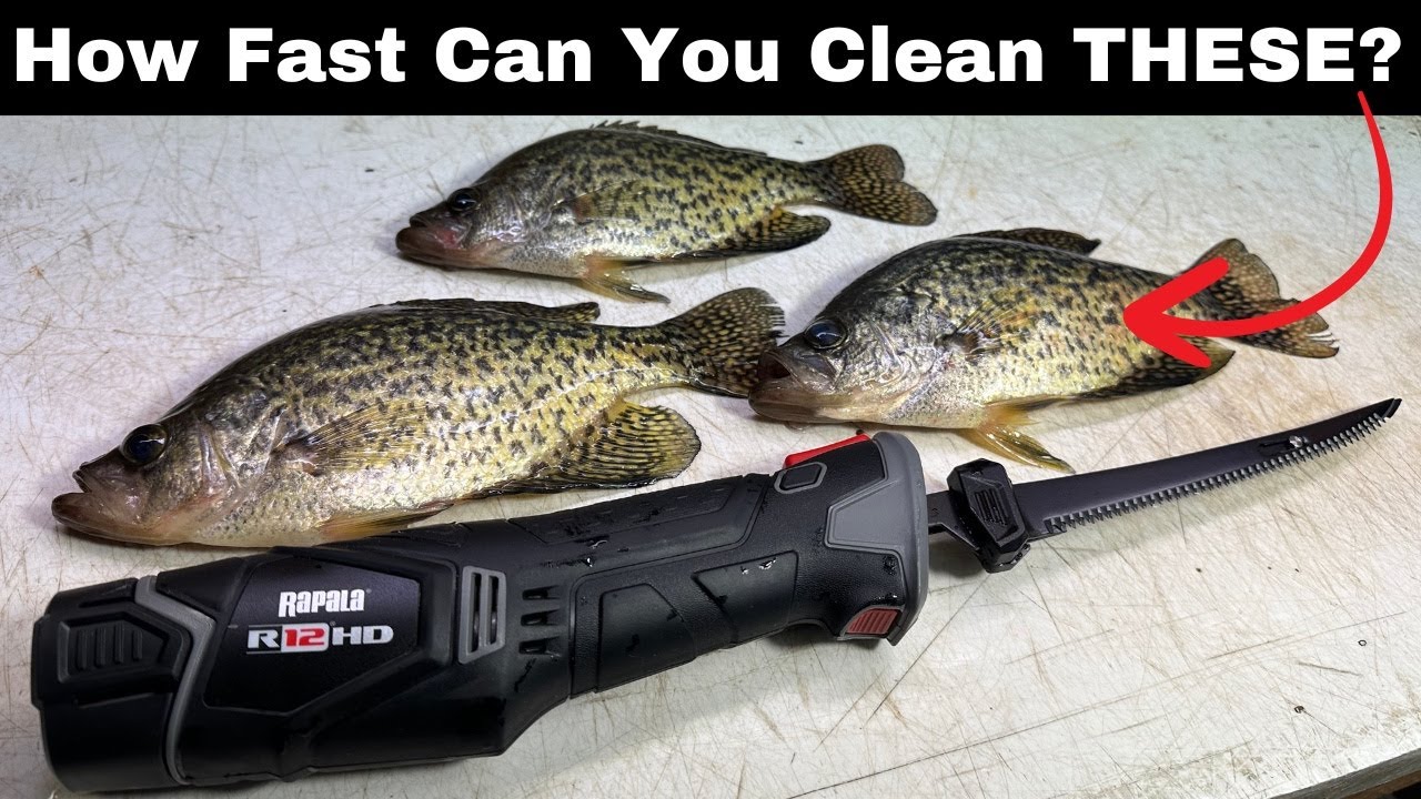 How to Fillet Crappies With an Electric Fillet Knife (FASTEST Way!)