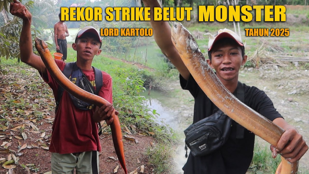 MANCING BELUT MONSTER LORD KARTOLO