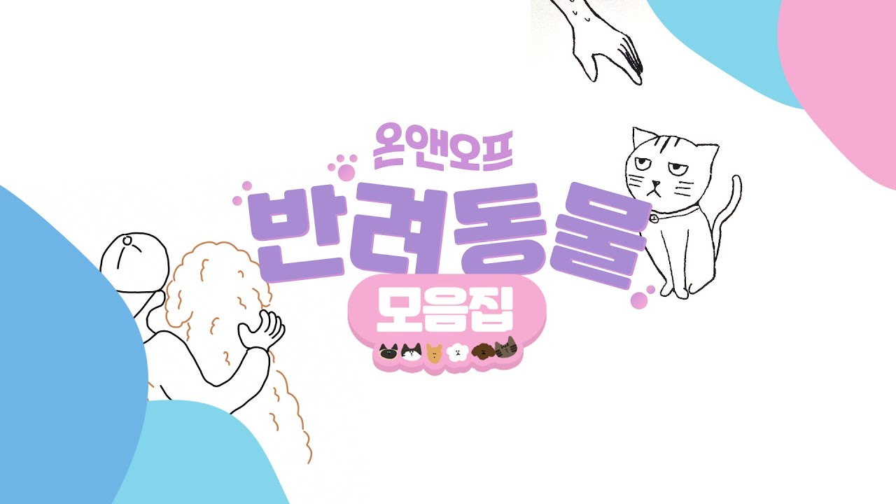 [온앤오프] 반려동물 모음집