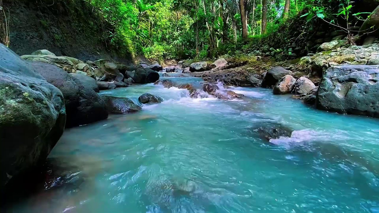 Flowing Mountain Water Sounds, Forest River Stream, Deep Sleep