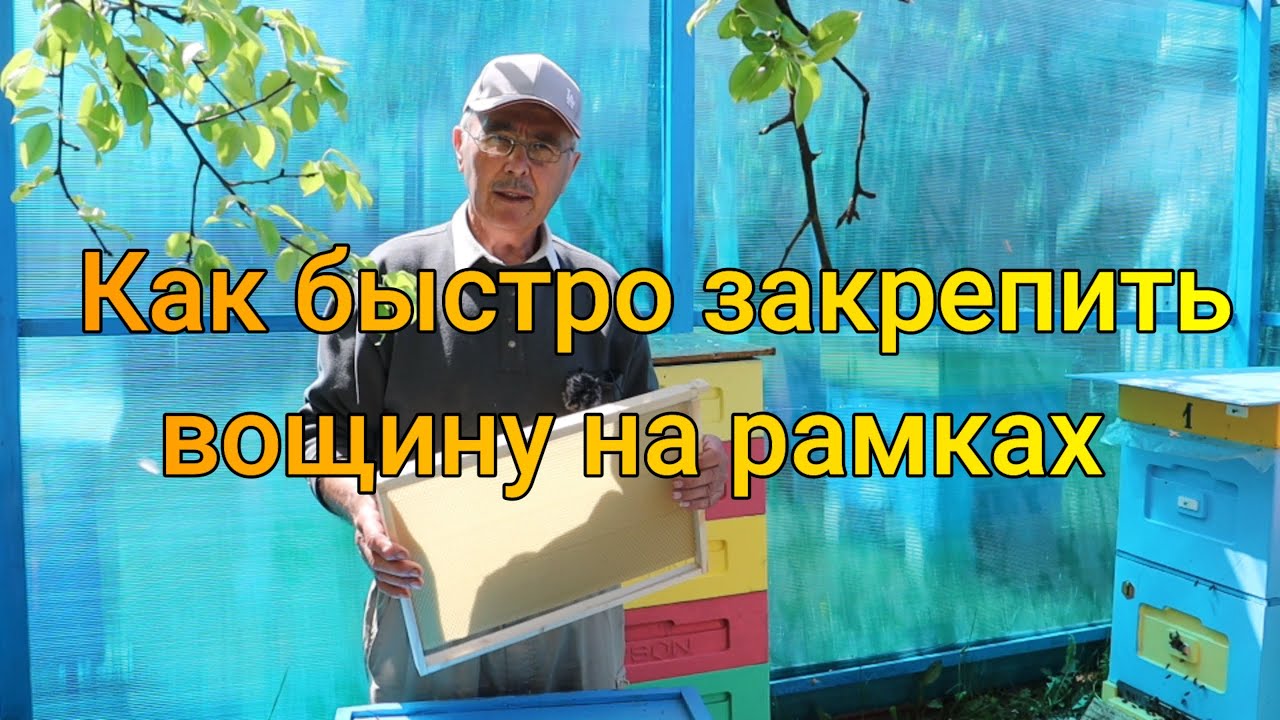 Как быстро закрепить вощину на рамках. Удобная и стерильная поилка для пчел.