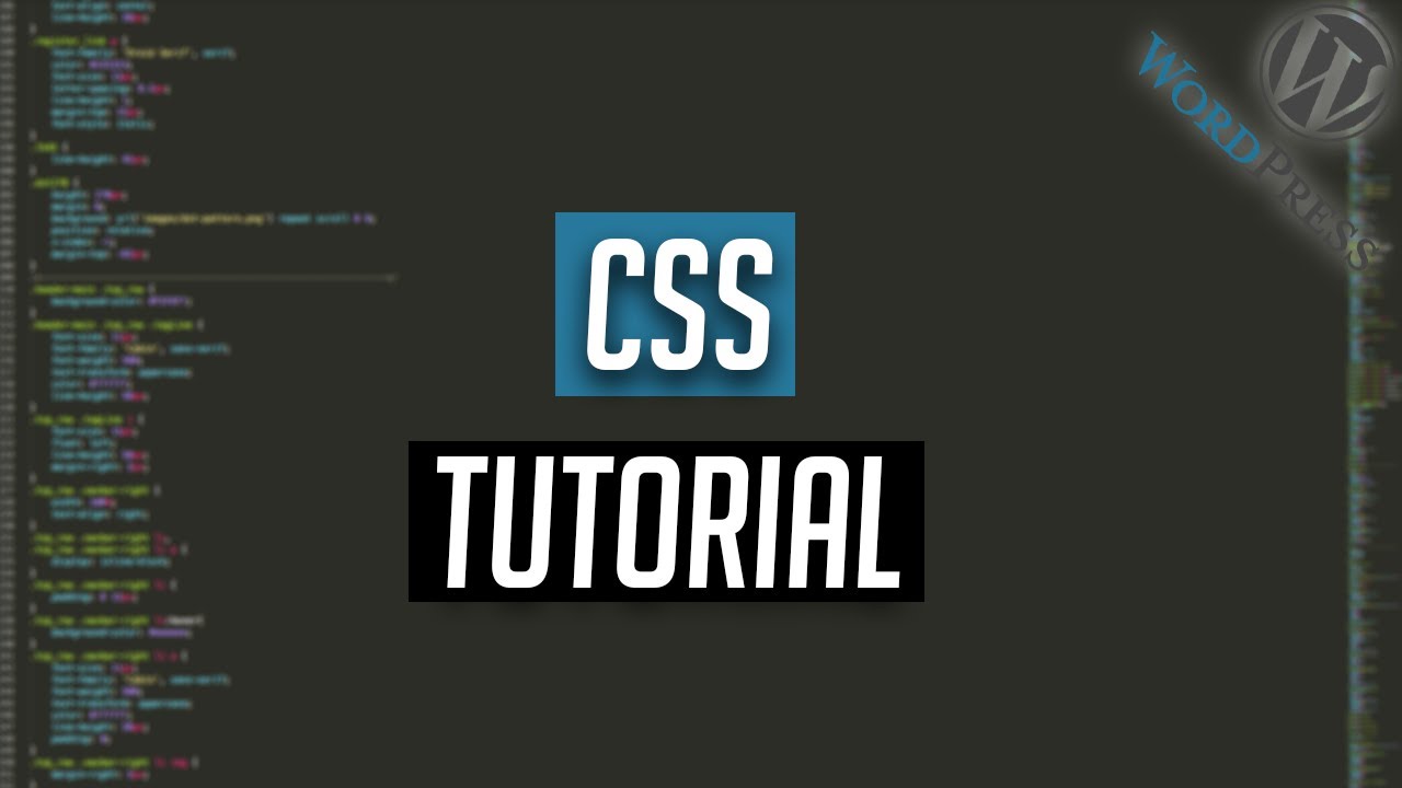 WordPress CSS Tutorial für Anfänger - Simple CSS Plugin