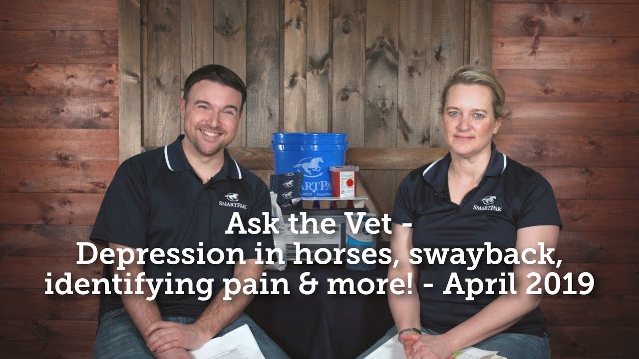 Ask the Vet - Depression in horses, swayback, identifying pain & more! - April 2019