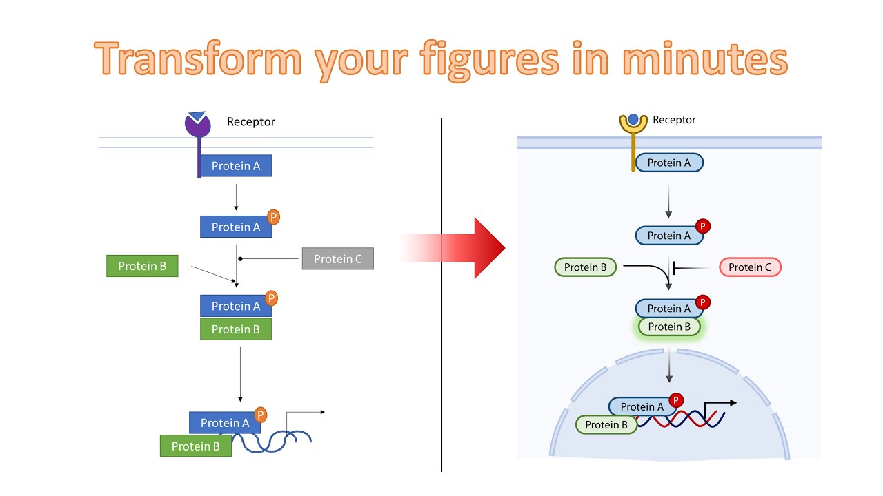 Biorender-like scientific illustrations in PowerPoint
