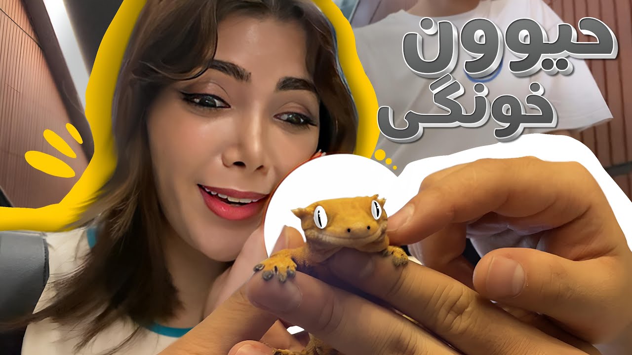 حيوون خونگي پشم ريزون ،دوست پسرم گير داده براش مارمولك بخرم