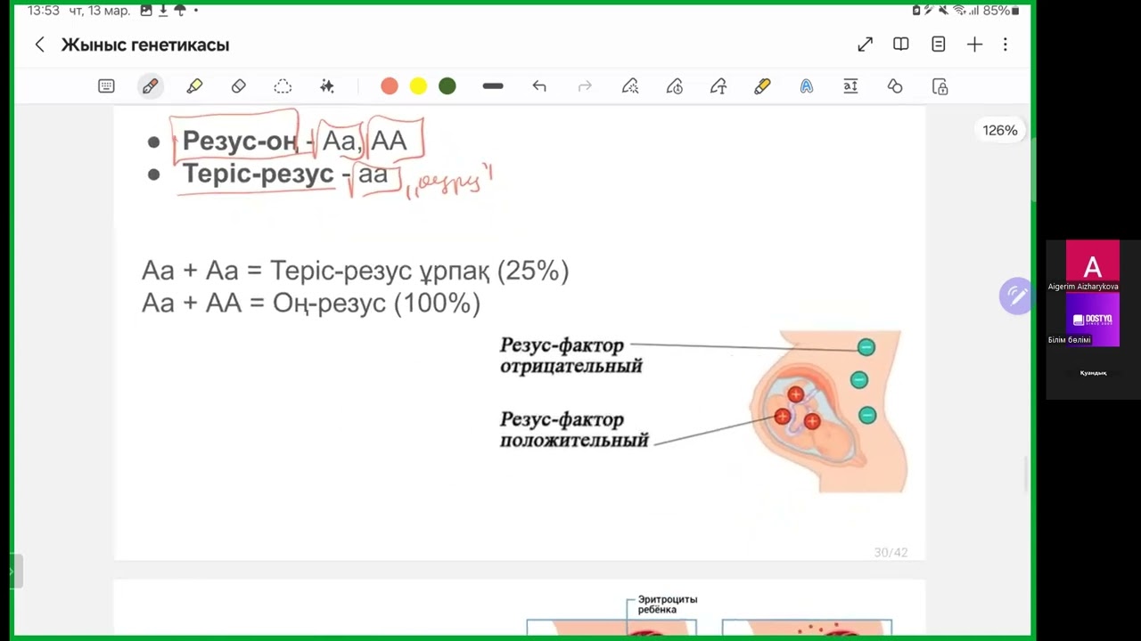 Жыныс генетикасы 3: Резус фактор