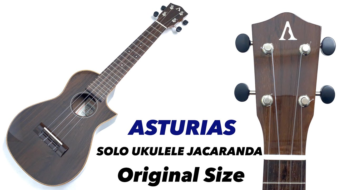 USED【ASTURIAS】SOLO UKULELE JACARANDA オリジナルサイズ