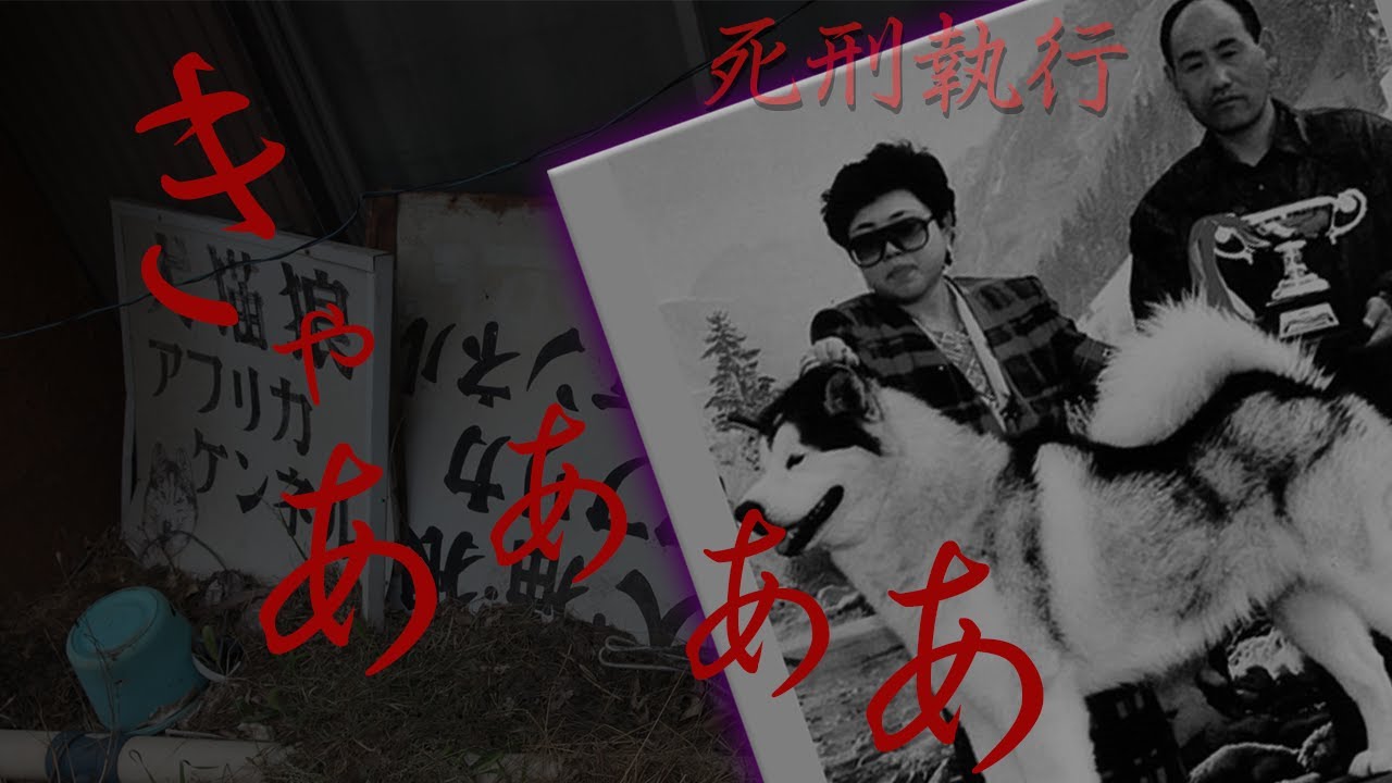 【心霊】死刑となった連続殺人の現場で起きた怪奇現象の映像【アフリカケンネル】
