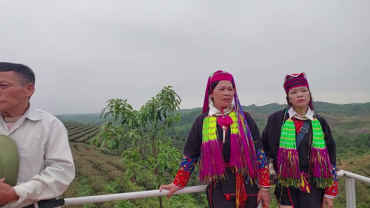 Mùng 5 Tết Ngọc Thúy Và Ông Sáng Hát Tại Nông Trường Chè Tập 2 
