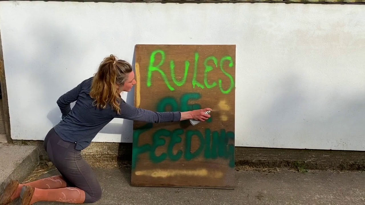 The 10 rules of feeding your horse