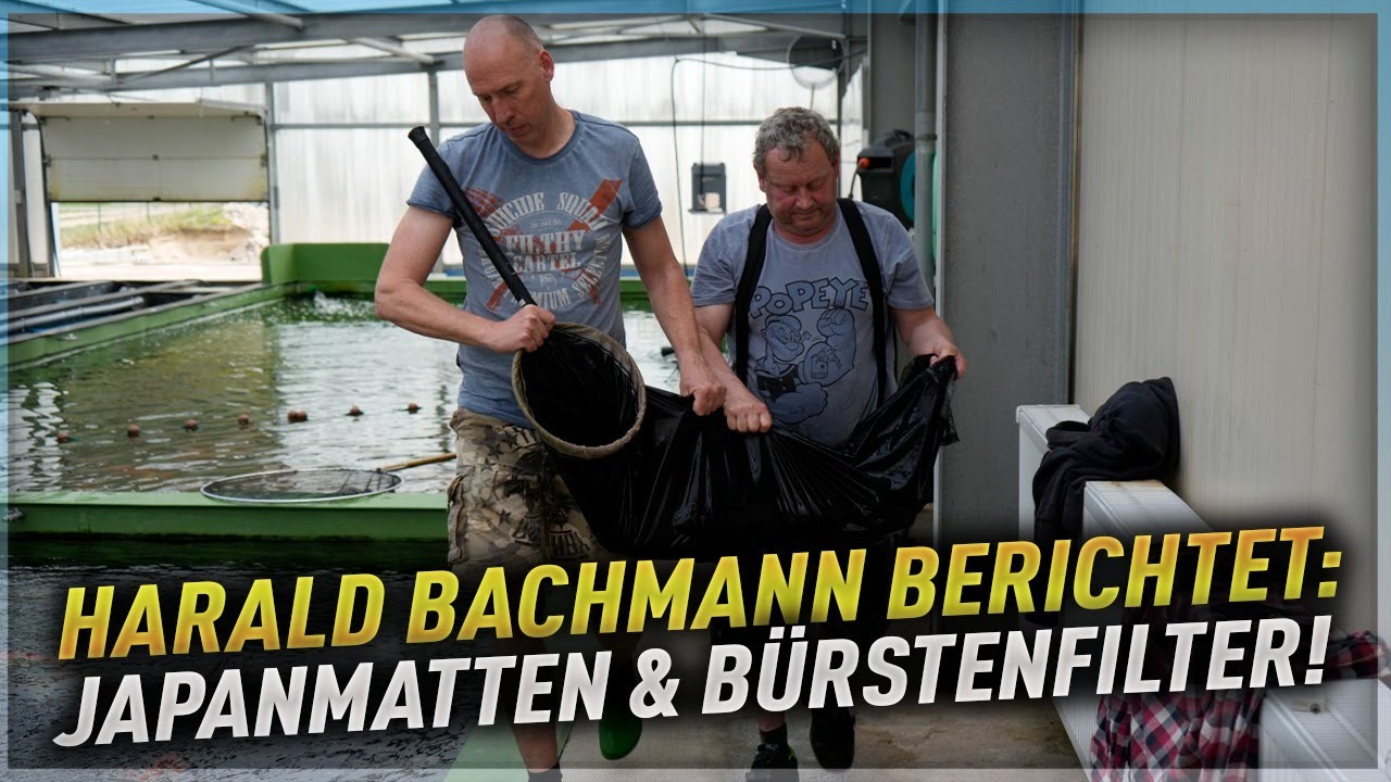 HARALD BACHMANN im Interview - JAPANMATTEN & B&Uuml;RSTENFILTER!