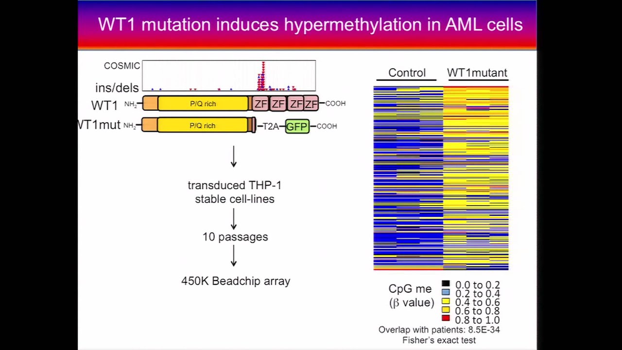 Integrative Analysis of TCGA Data Reveals Wilms' Tumor 1 Mutation... - Subarna Sinha