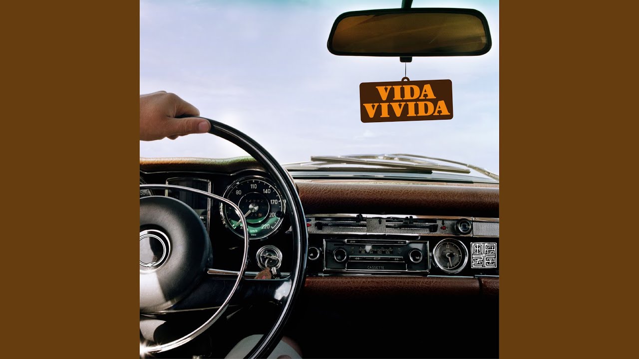 Vida Vivida