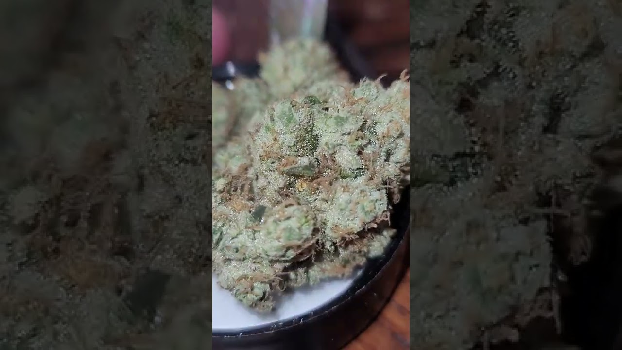 💨🎄🎄🎄💨CONNECTED SUPER DOG INDOOR STRAIN 💥💥💥💥💥