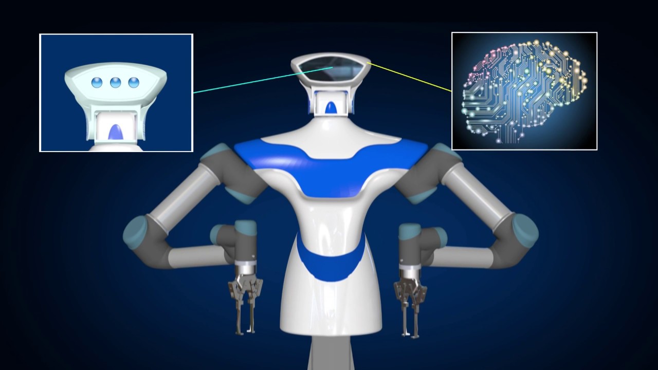 Intelligent Vision System for Companion Robots