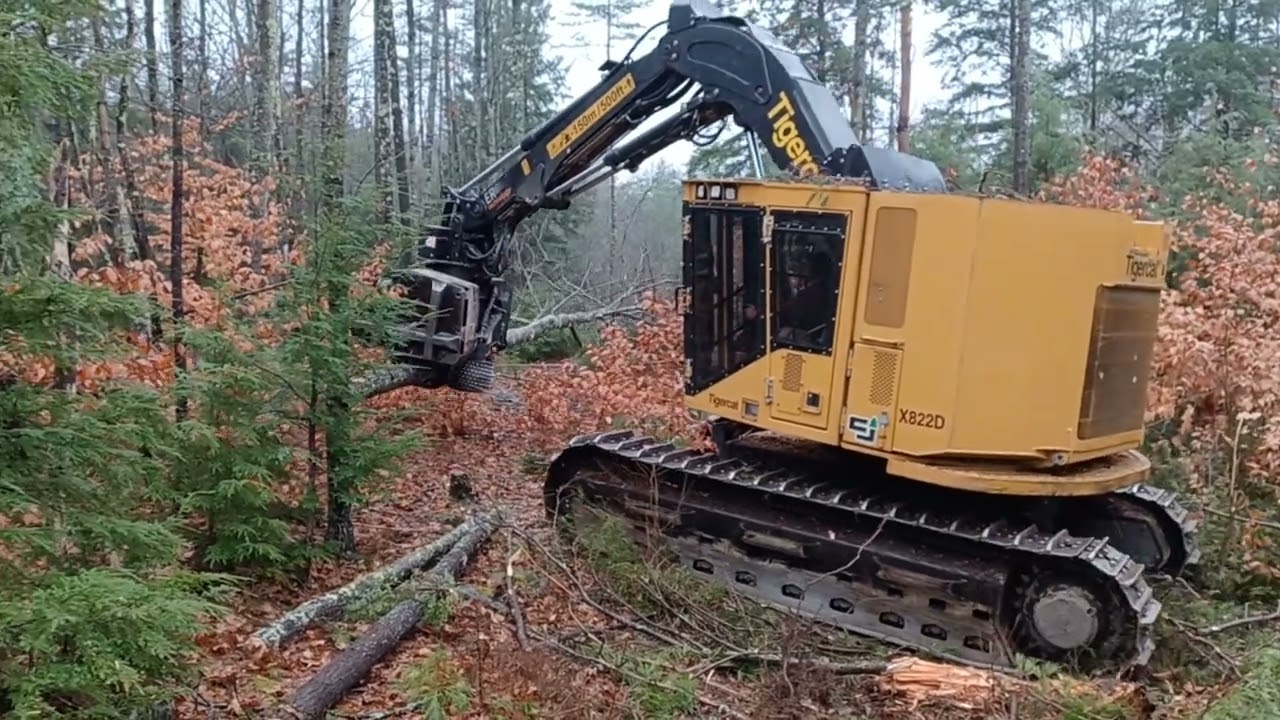 Tigercat X822D cut-to-length harvester