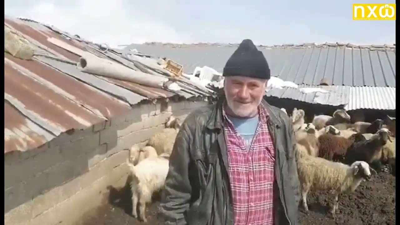 Απελπισμένοι οι κτηνοτρόφοι της Κέλλης λόγω της ακρίβειας και των απωλειών από τη βαρυχειμωνιά