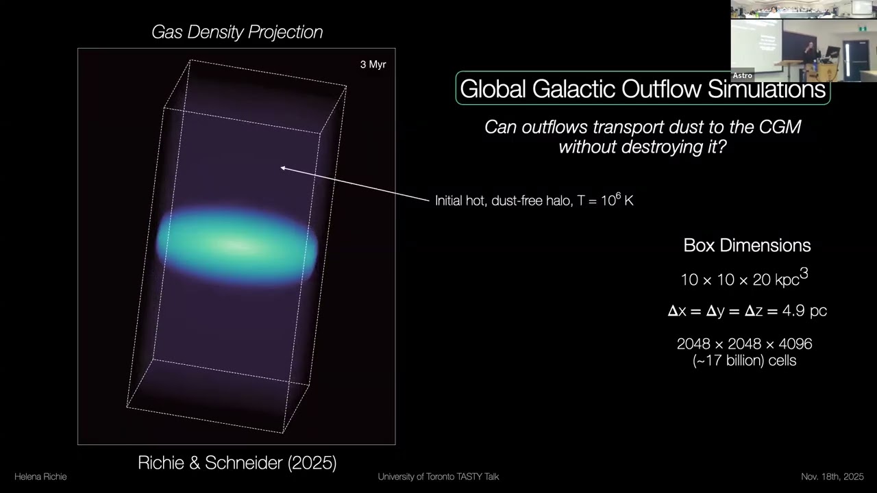 TASTY: Dust Survival in Galactic Outflows: Insights from a New Suite of High-Resolution Simulations
