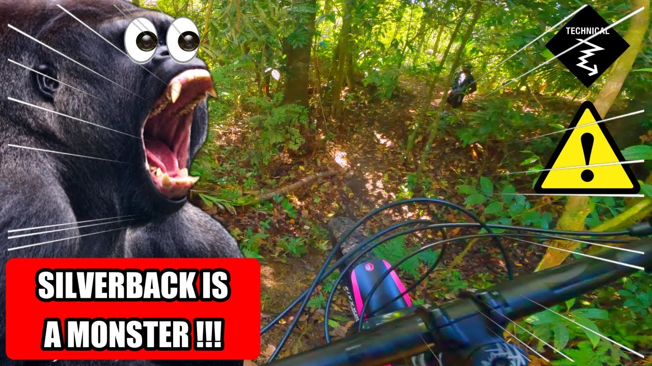 Riding the Beast: Tackling Silverback Trail ‼️⚠️