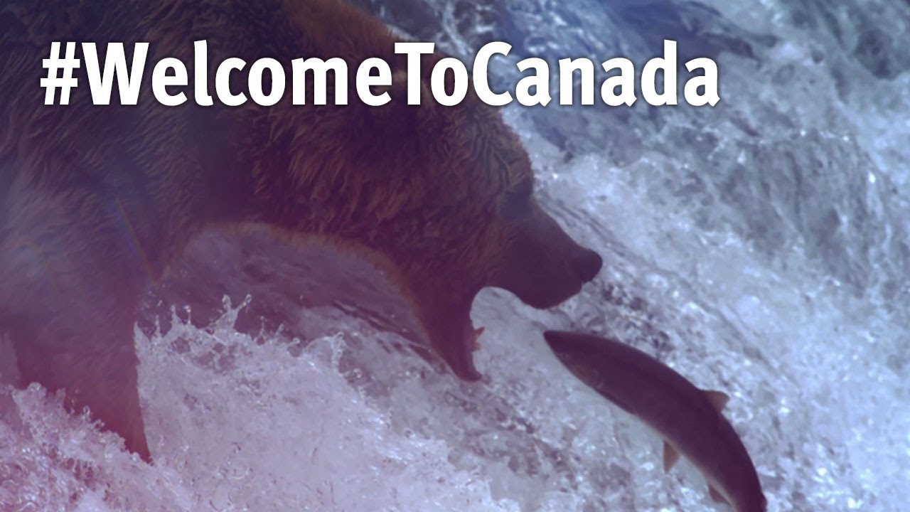 #WelcomeToCanada