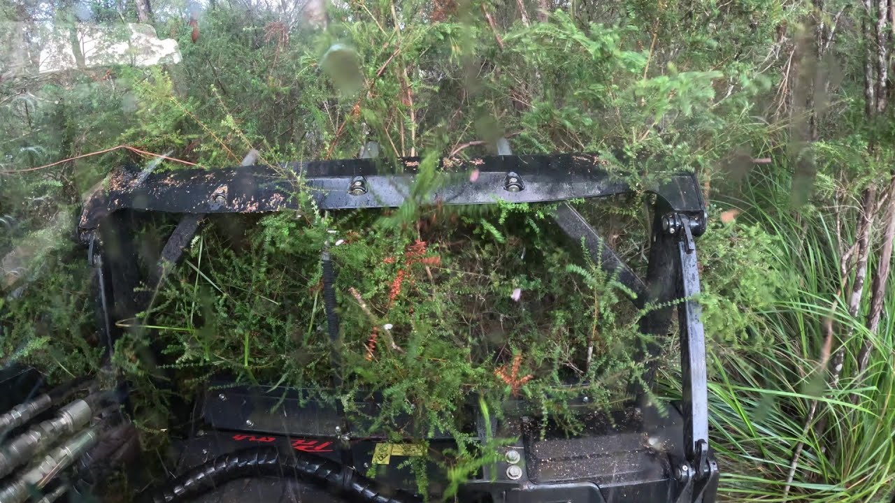 ASV 135 Forestry Mulching Lune River