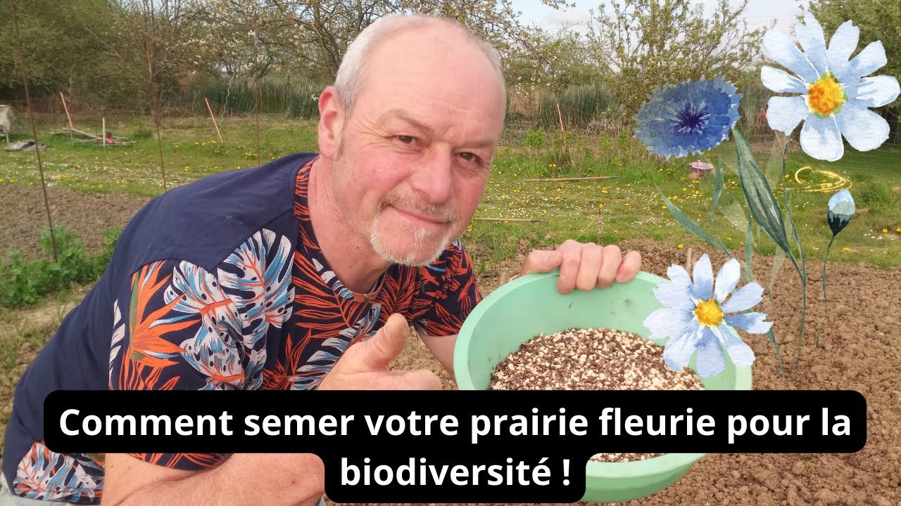 Comment semer votre prairie fleurie