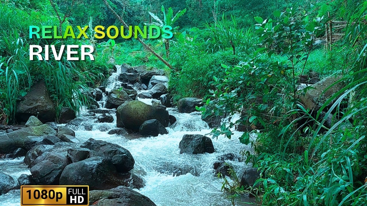 2 Hours Calm River Flow Sound 🌊 Natural Water Ambience for Sleep, Study, Meditation