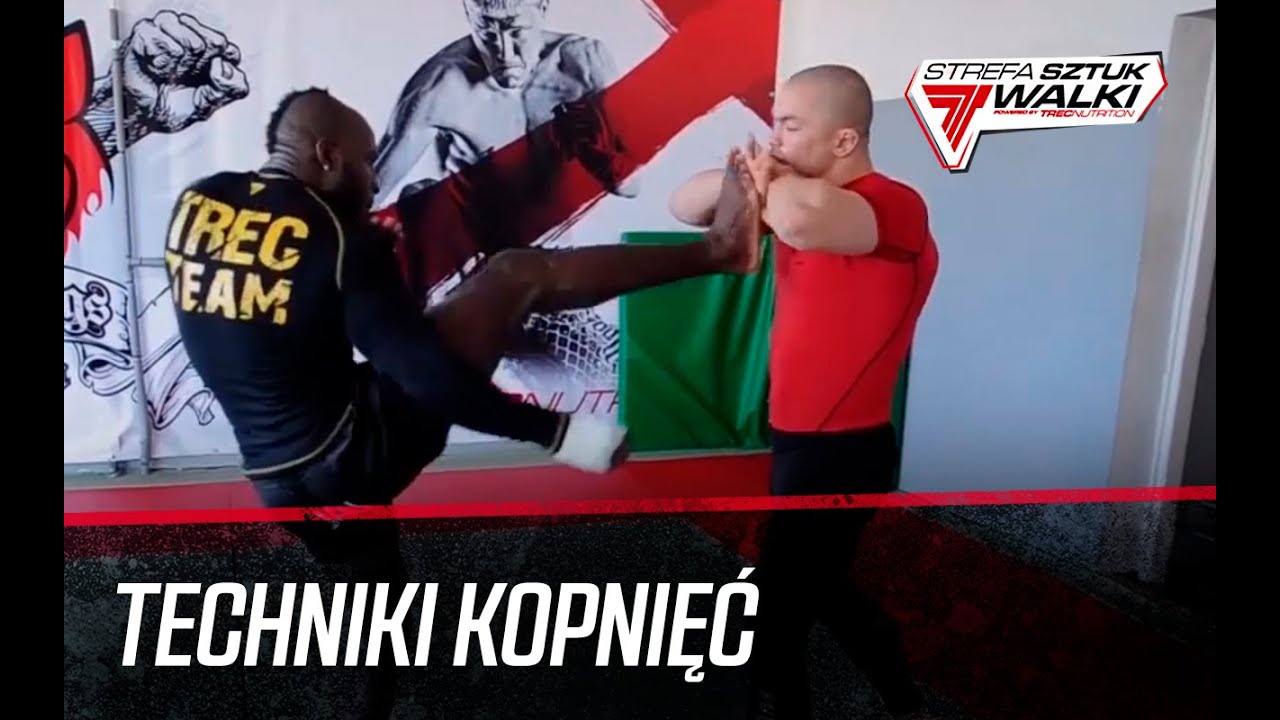 Techniki kopnięć - Janu 
