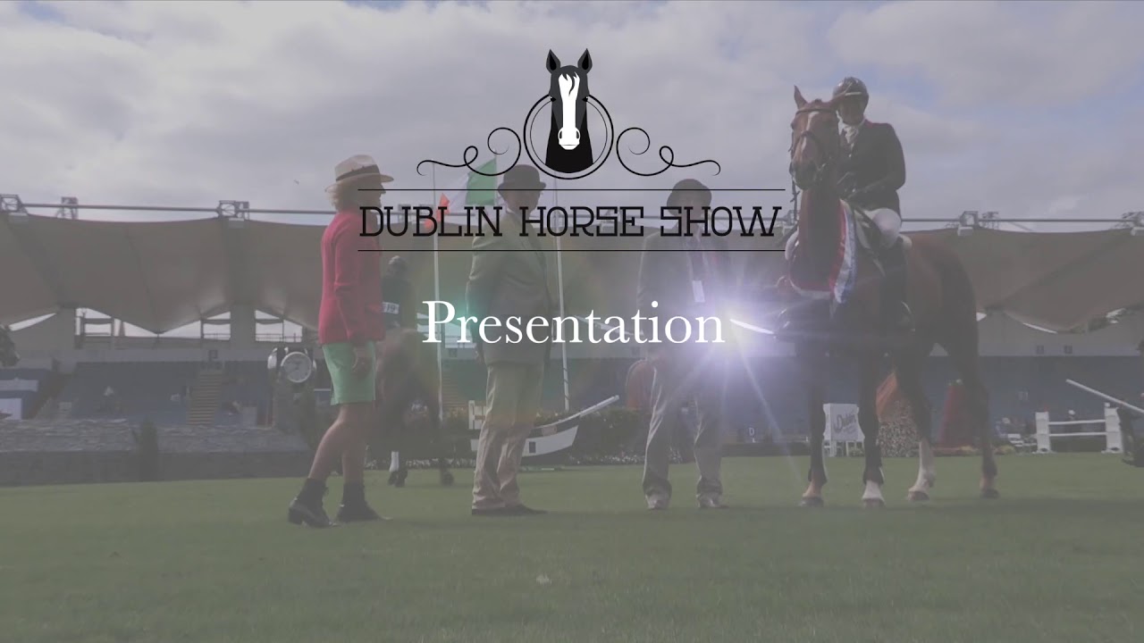 Performance Irish Draught