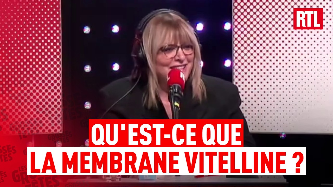 Les Grosses T&ecirc;tes : qu'est-ce que la membrane vitelline ?