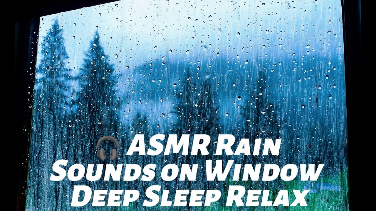 End Sleepless Nights – Window Rain & Rolling Thunder in a Misty Forest Ambience for Sleep,  Relaxing