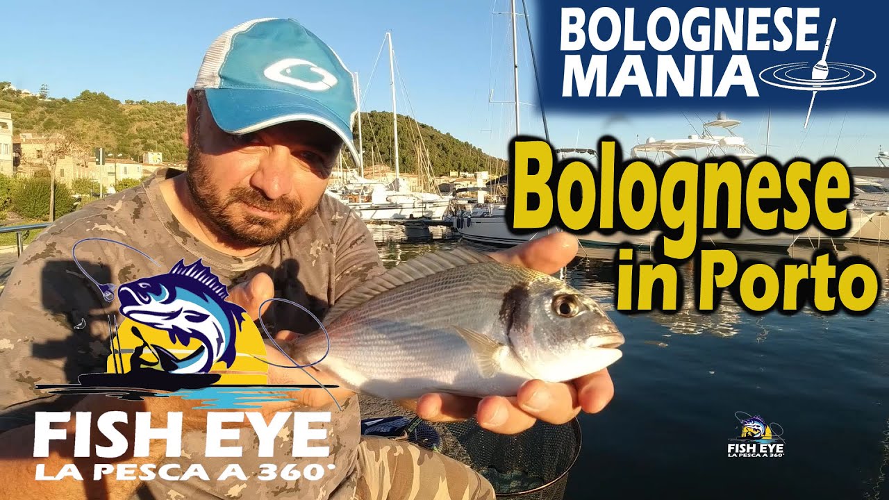 Un pomeriggio a Bolognese in porto