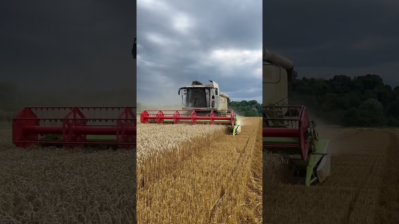 Weizen Ballern 🔥🚜🔥