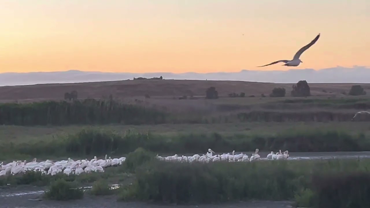 Eight minutes at dusk