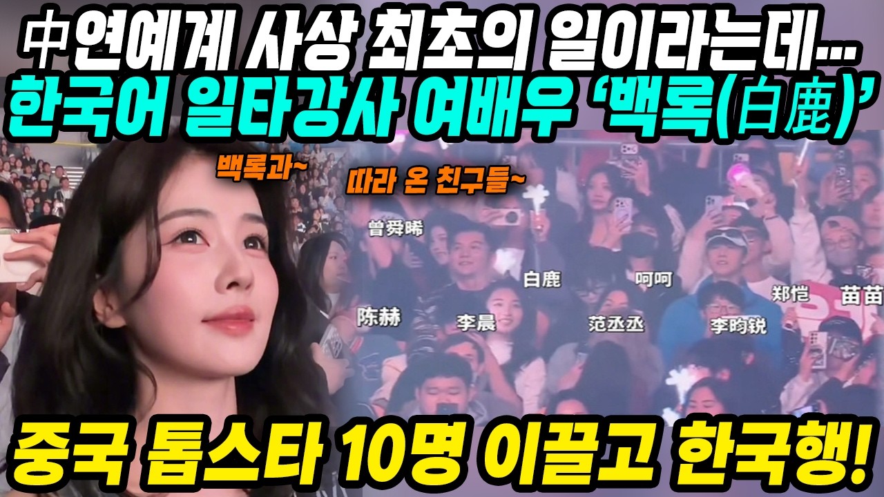중국반응│연예인친구들 10명 데리고 한국여행온 중화권톱스타│해외스타들의 한국여행기 미용 쇼핑 한류콘서트 관람까지│한국어패치 완료된 중국 최고 여배우의 남다른 한국사랑│중국어로[路]