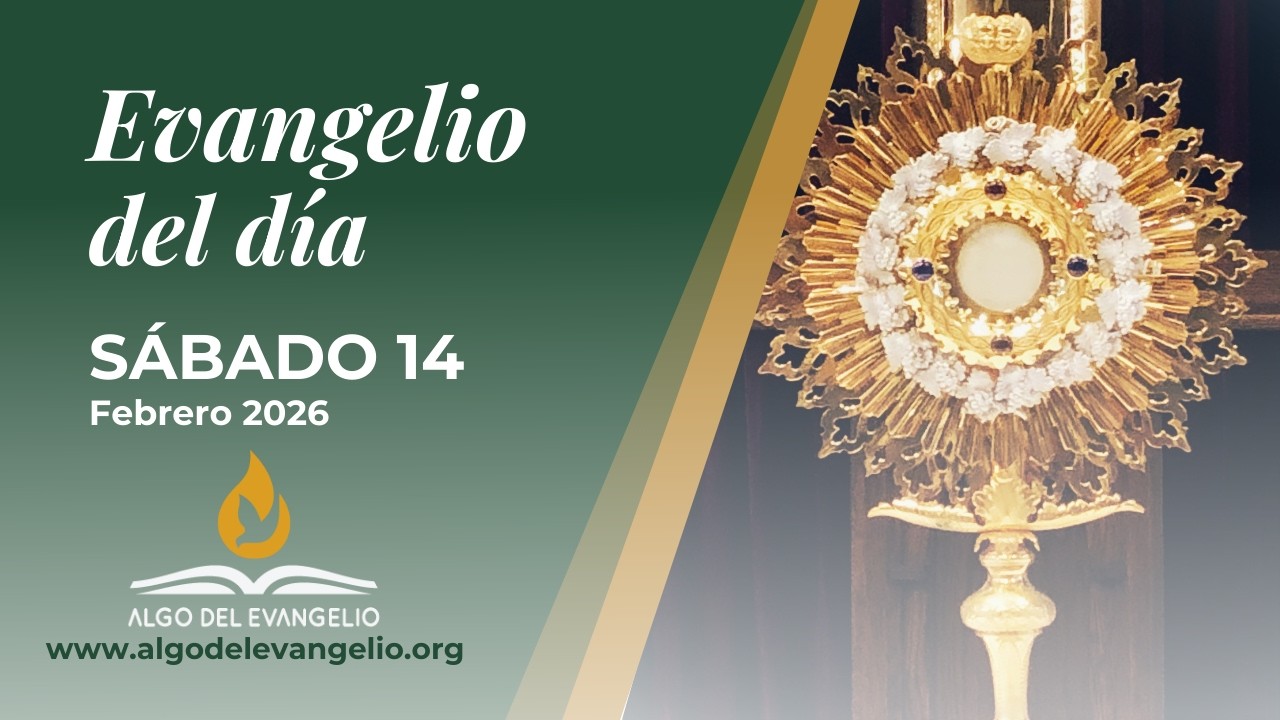 Evangelio de hoy l 14 de febrero de 2026 l  V Sábado durante el año I San Marcos 8, 1-10
