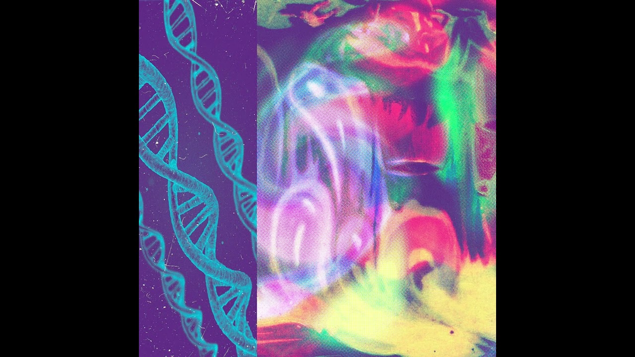 Nap Eyes – Feline Wave Race (Official Audio)