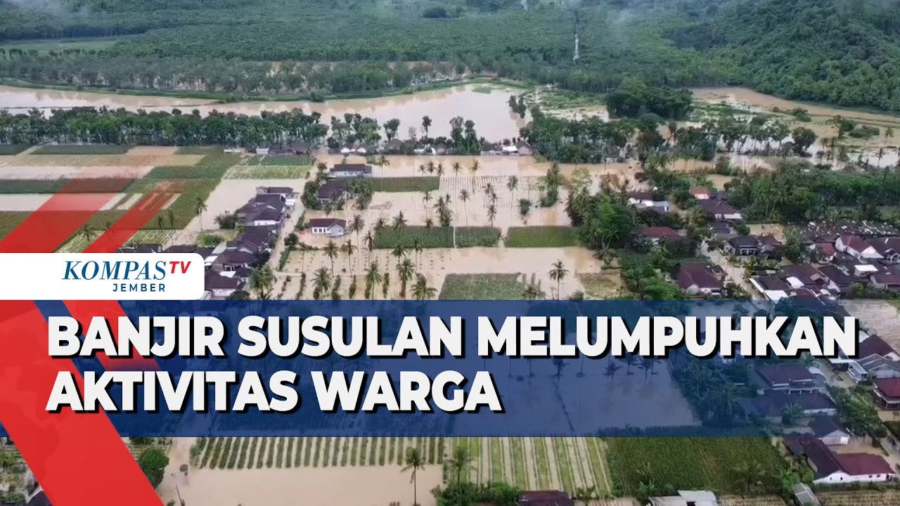 Banjir Susulan di Jember, Tanggul Jebol Perparah Situasi!