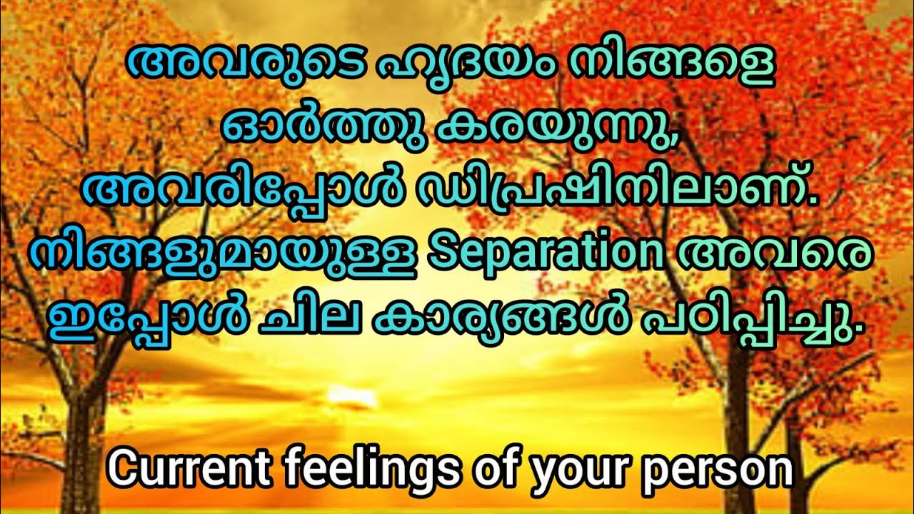 ✨🧿നിങ്ങളുമായുള്ള Separation അവരെ ഇപ്പോൾ ചില കാര്യങ്ങൾ പഠിപ്പിച്ചു @Tarastarot1111  #tarot #trending 