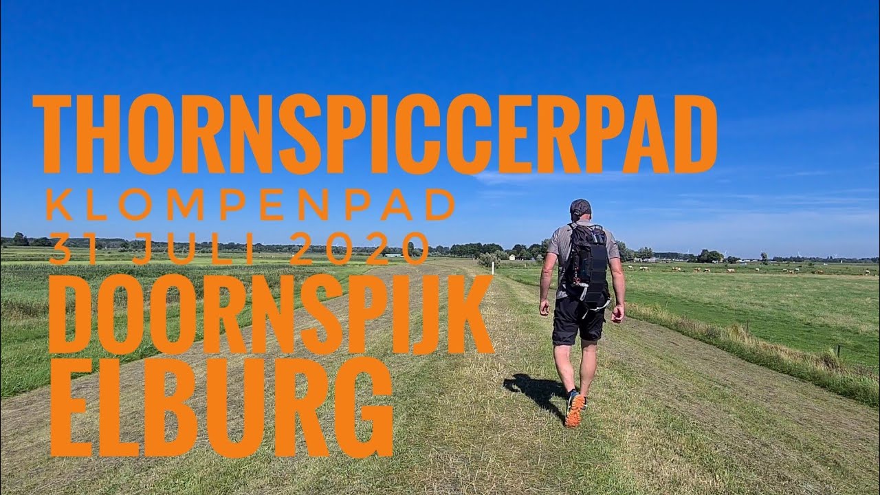 Thornspiccerpad