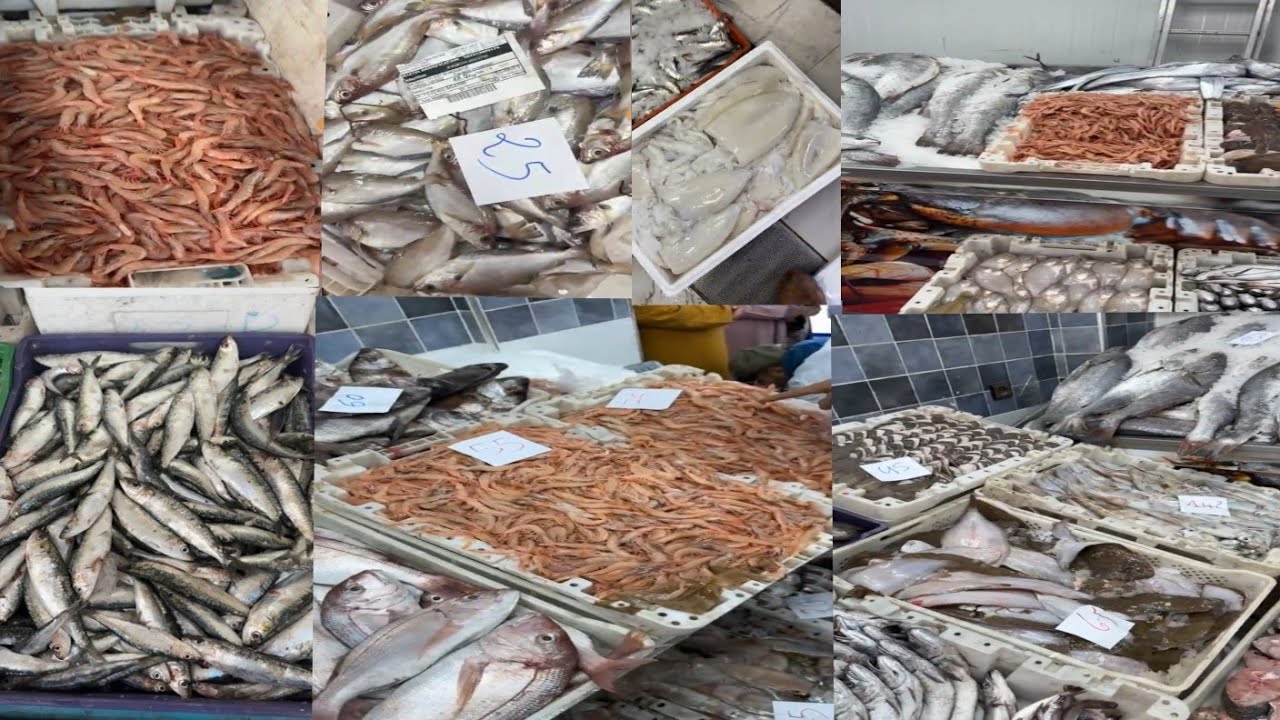 اثمنة اليوم الأحد 8 مارس  🎏🎏 رقم الواتساب :0642602285الخير موجود 