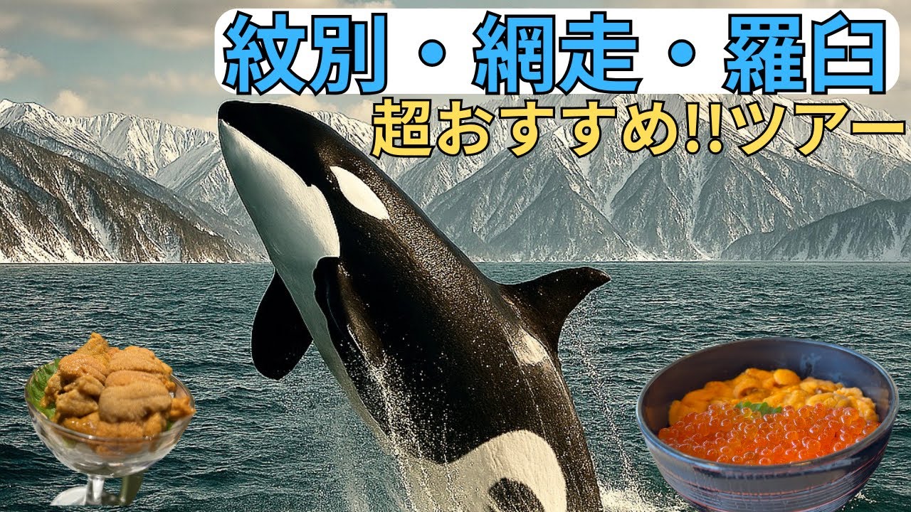 [超おすすめ北海道羅臼でシャチと出会う2泊3日]美味しいものも沢山食べた！！