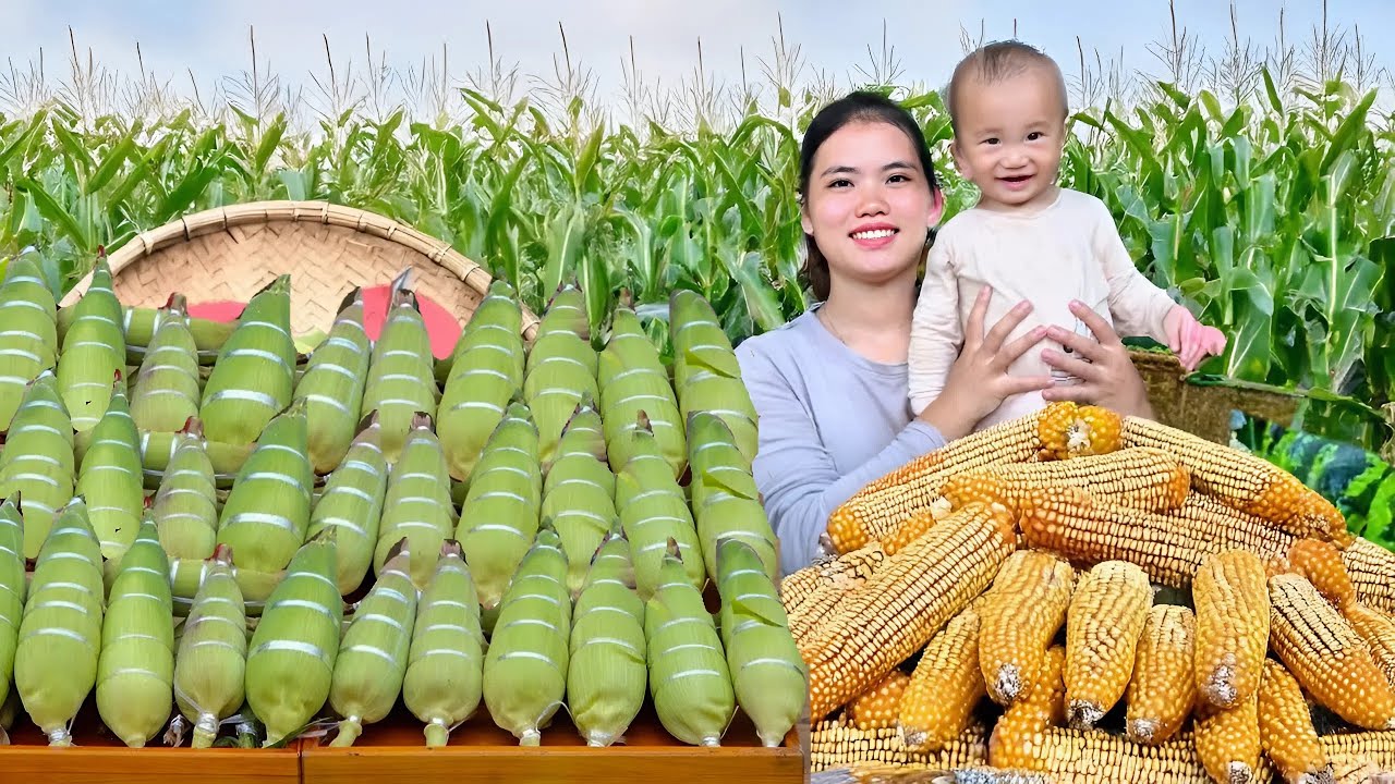How to Harvest Corn and Making Corn Cakes with My Son - Live With Nature | Trieu Thi Thuy